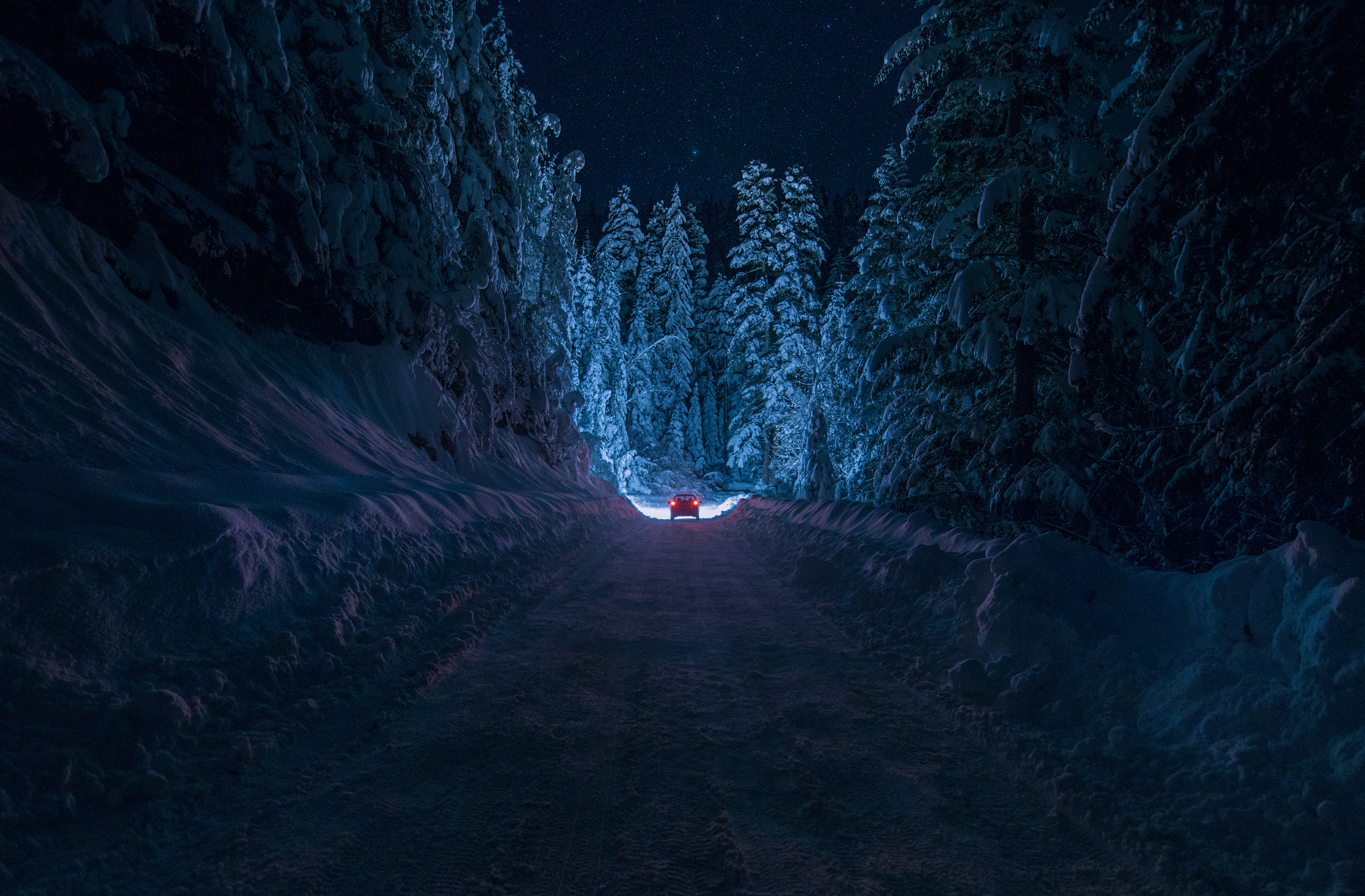 Road Snow Forest Night Car Light Sky Stars Trees Wallpaper Background