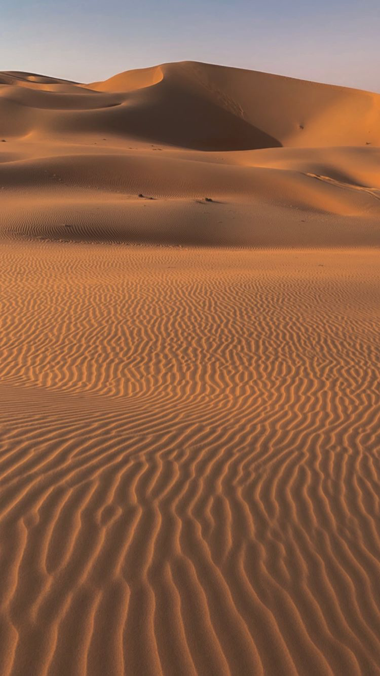 Pin De Vicki Gagiano En Dune Wallpaper