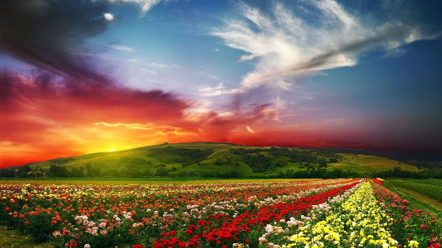 New 3d Wallpaper Nature Desktop