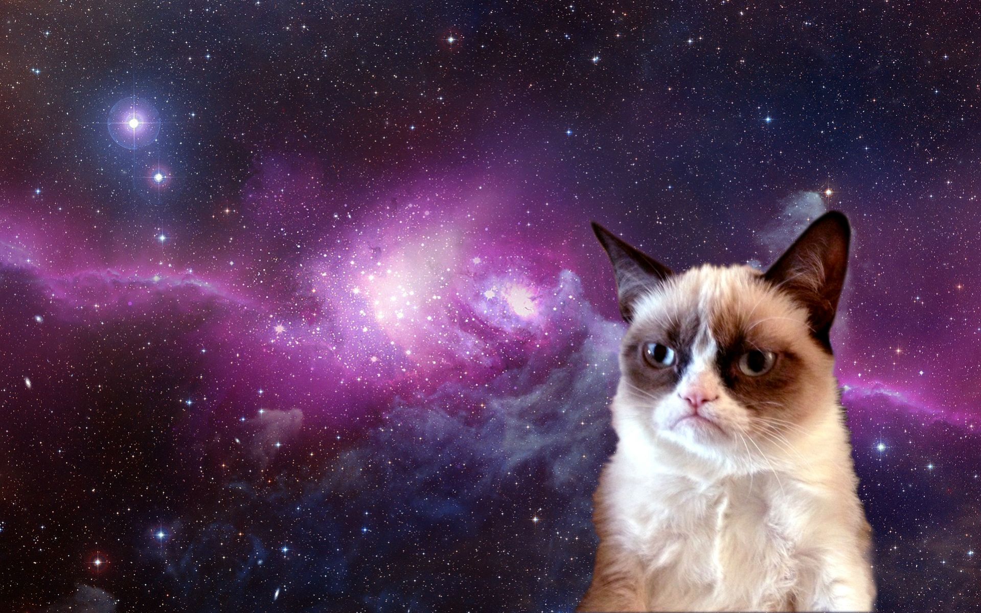 Grumpy Cat in Space Wallpaper 1919x1199
