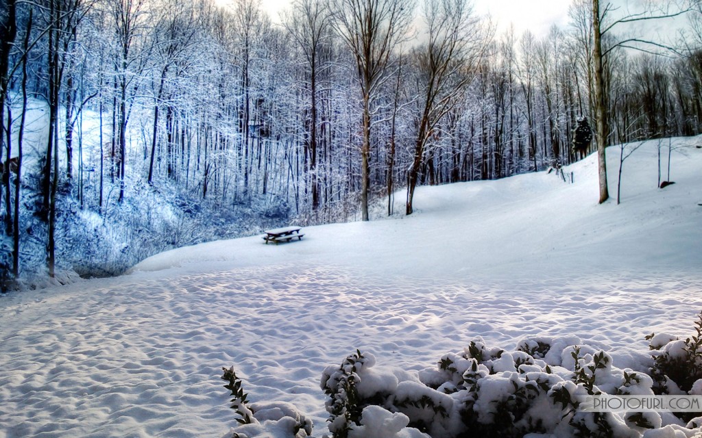 Widescreen Winter Snow Scenery Wallpaper