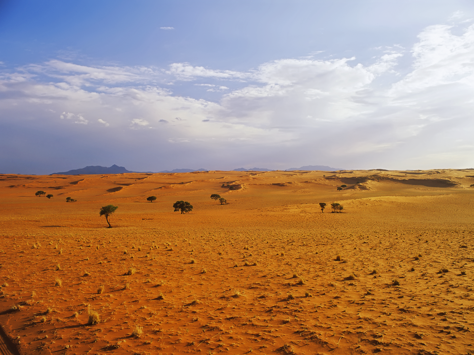 Desert Landscape Wallpaper Conservatives Pee Themselves With Joy