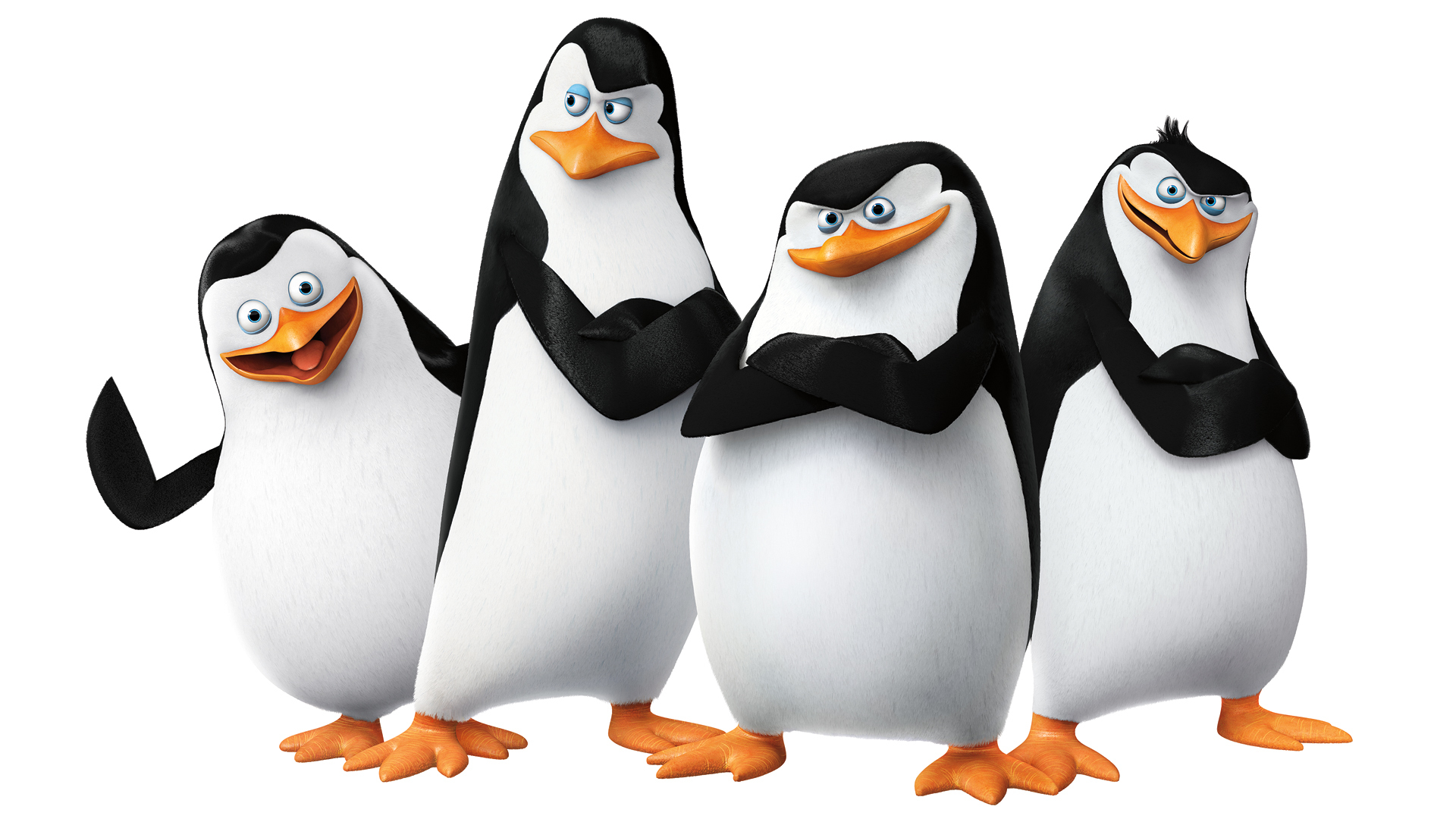 Penguins Of Madagascar HD Wallpaper Background