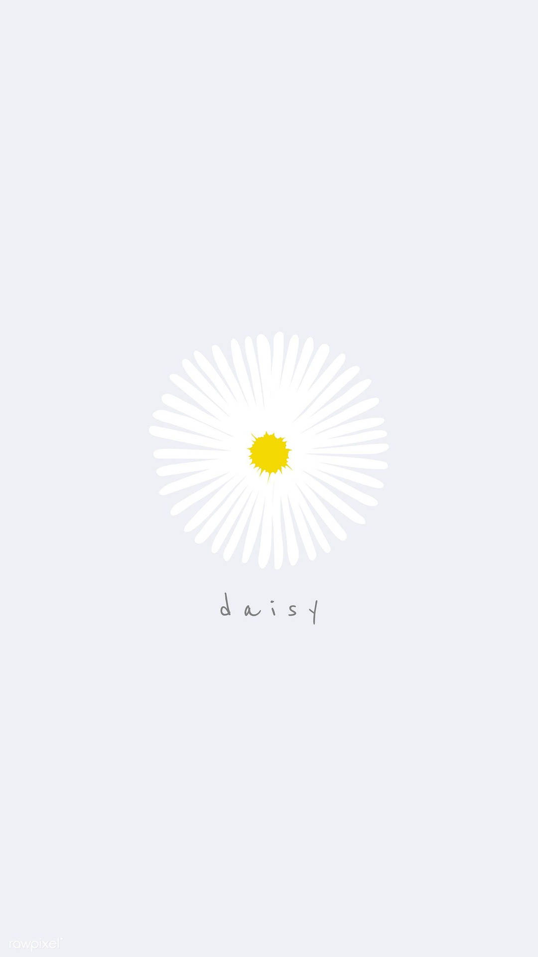 White Flower iPhone Wallpaper