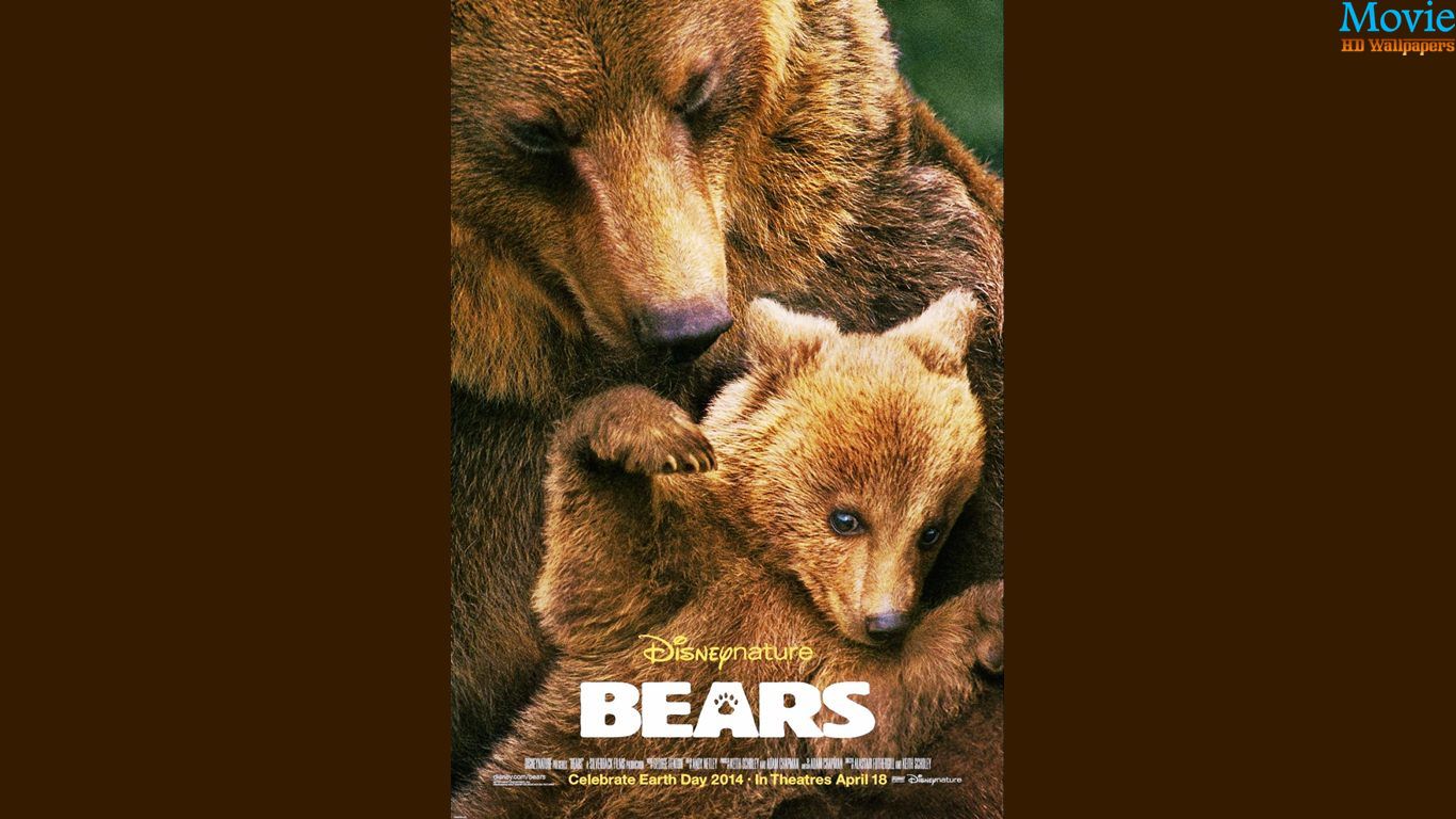 Bears Disney Movie Pics Wallpaper