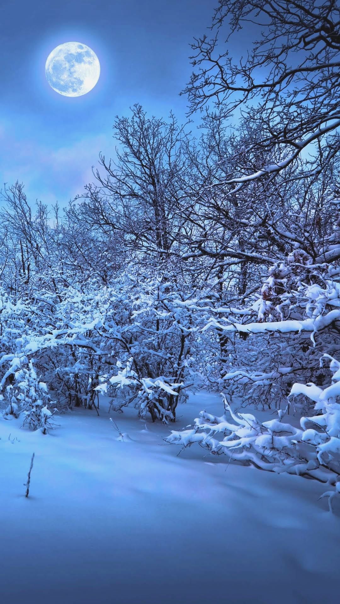 Winter Wallpaper For iPhone Best Pictures