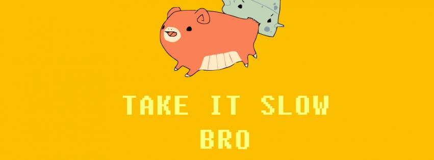 Pokemon Slowbro Ok
