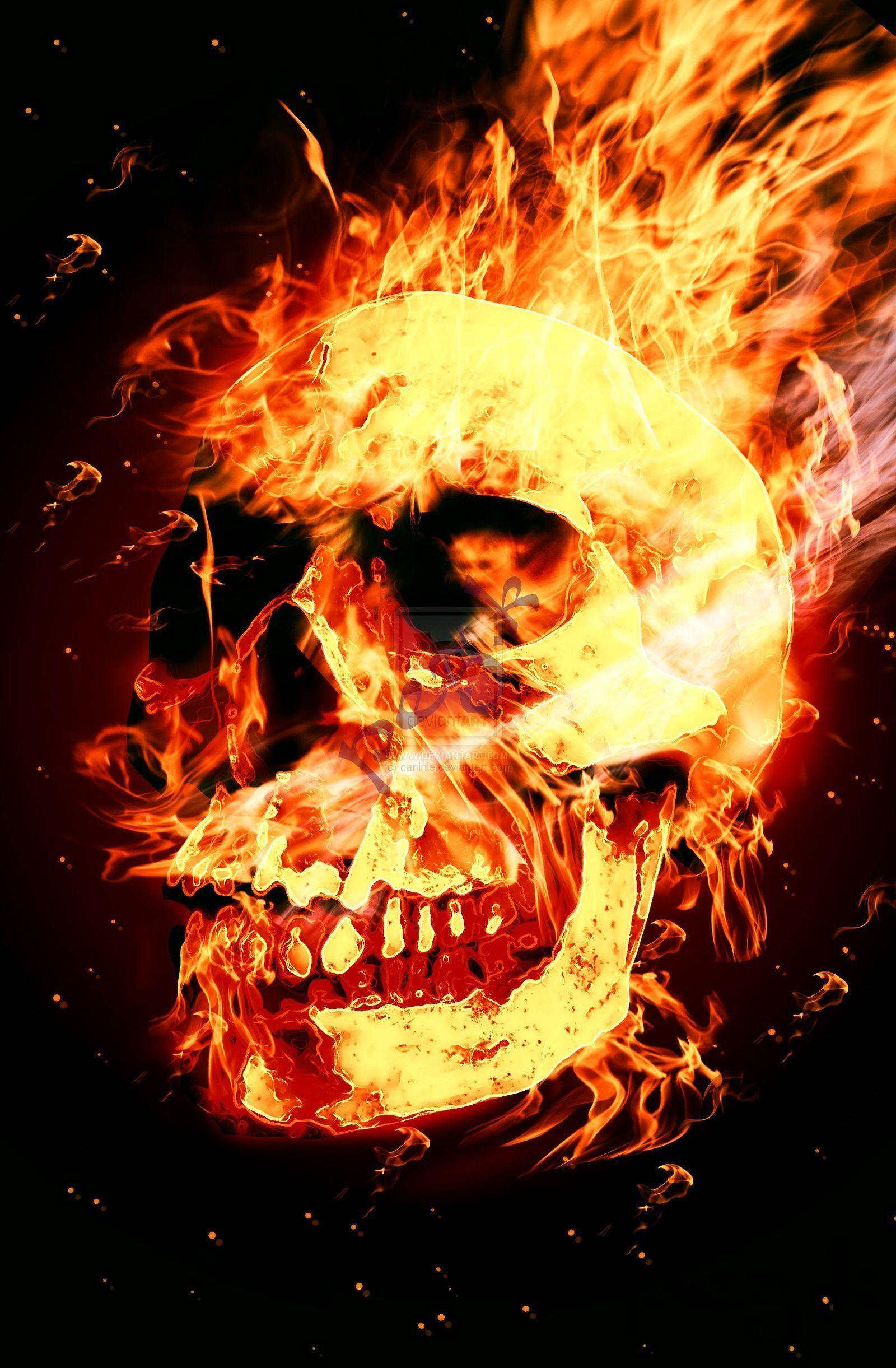 77+] Fire Skull Wallpaper - WallpaperSafari