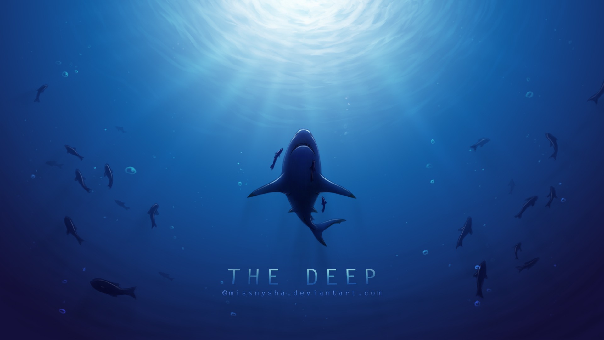 Pics Photos Dolphin In Deep Blue Sea Wallpaper HD