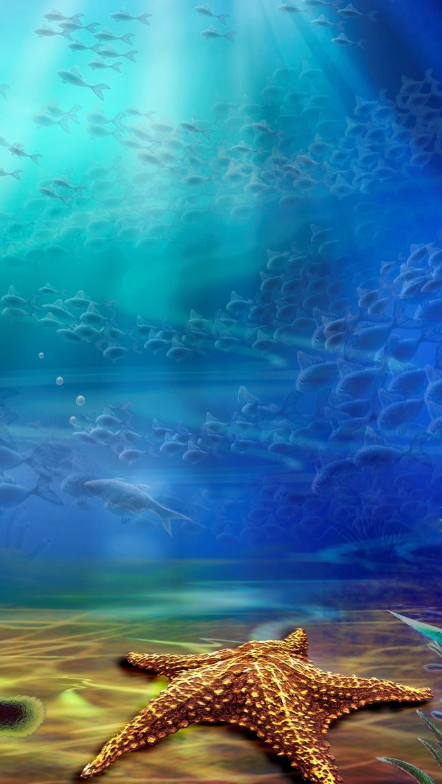 Starfish In The Ocean iPhone Wallpaper