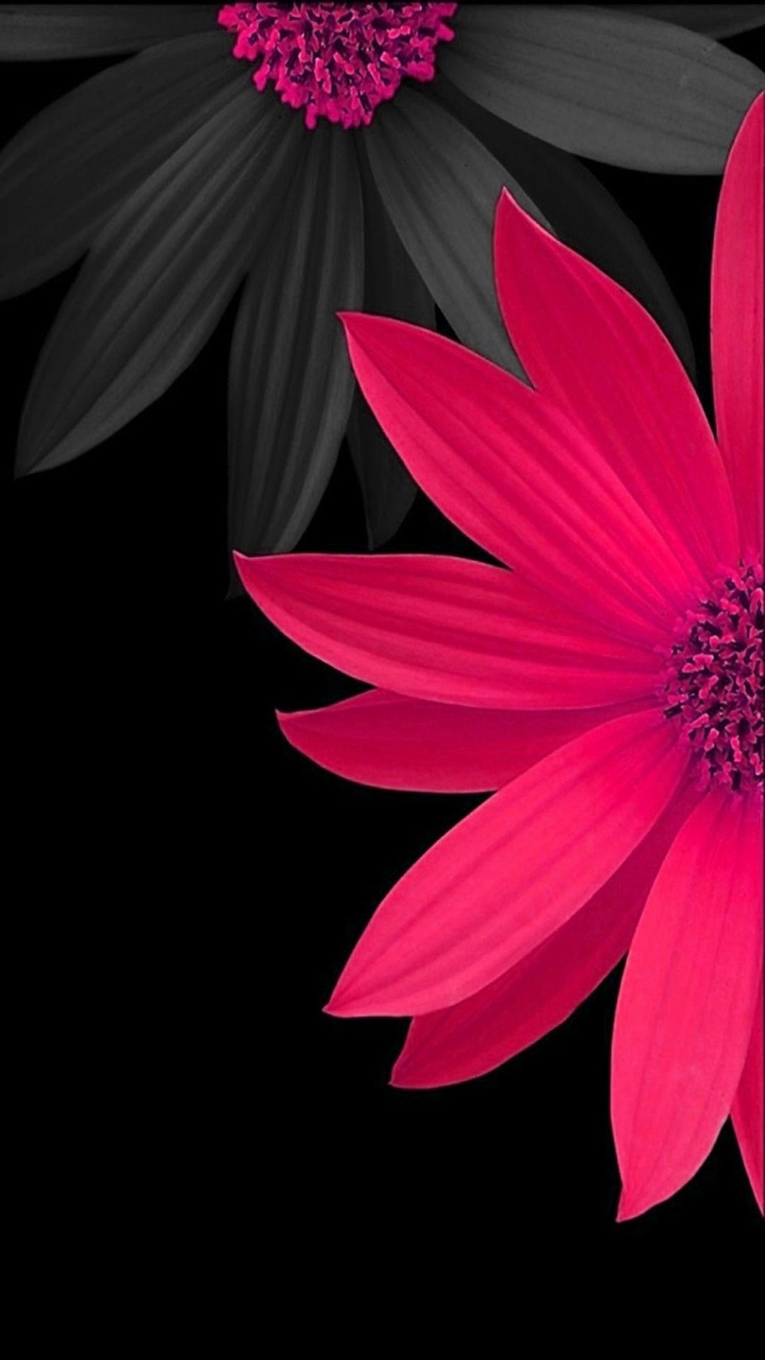 Black Flower Wallpaper Image
