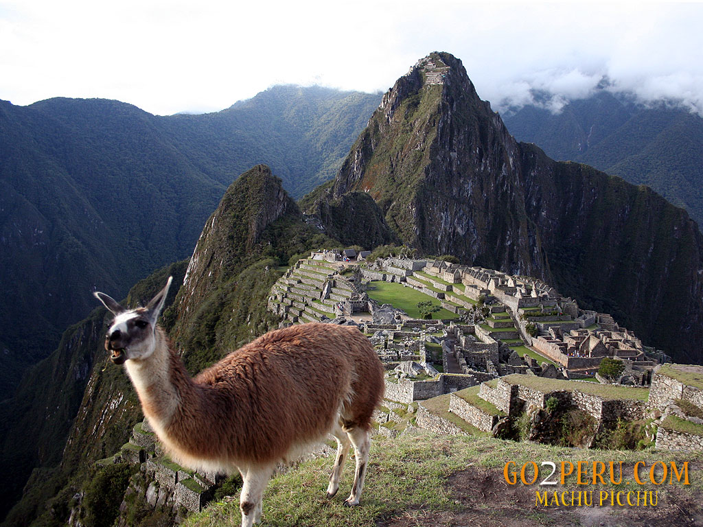 Wnp Wallpaper Pictures Machu Picchu New Wonders Of The