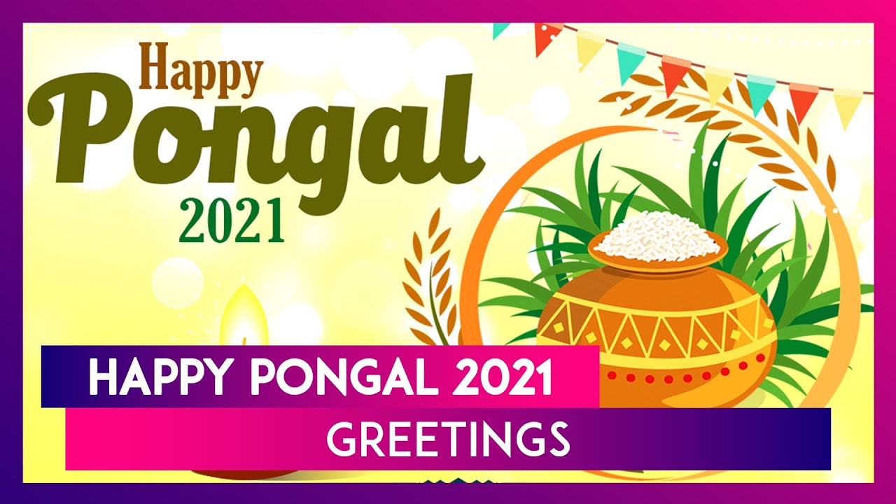 Happy Pongal Greetings Messages Quotes And Image To