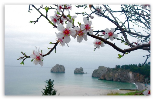 Spring Season HD desktop wallpaper Widescreen High Definition 510x330