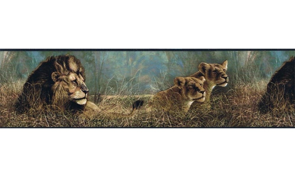 Home Animal Borders Wild Cats Animals Wallpaper Border B76462 1000x600