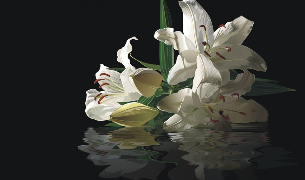 White Lilies Reflection With Black Background Desktop Wallpaper