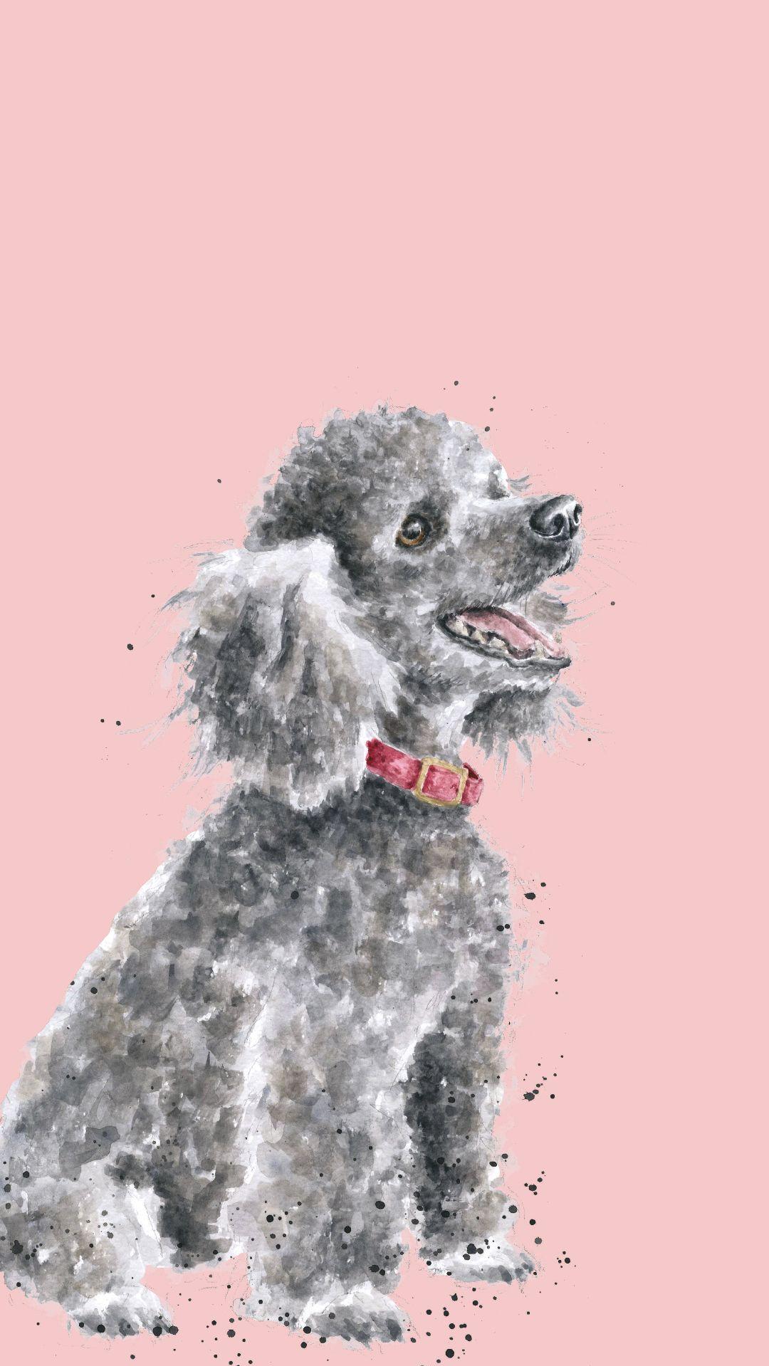 Poodle Phone Wallpaper Drawing Puppy Art Dog