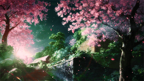 Japanese trees wallpaper: Bạn muốn trang trí desktop hoặc laptop của mình với những hình ảnh đẹp của những cây cối Nhật Bản? Hãy xem những bức ảnh rực rỡ về các loại cây trên nền background tươi sáng của chúng tôi. Bộ sưu tập của chúng tôi mang đến những hình ảnh đầy màu sắc và nét căng tràn sức sống, giúp bạn thêm phong cách cho thiết bị của mình.
