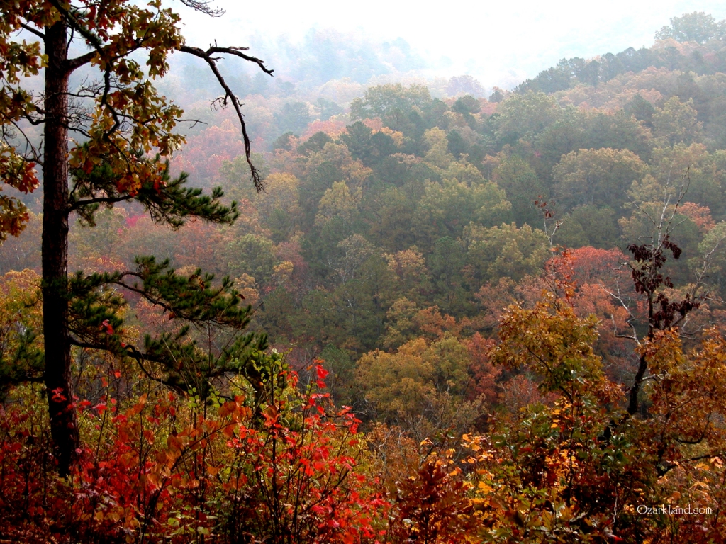 Ozark Mountain Scenic Wallpaper From Woods Waters Two