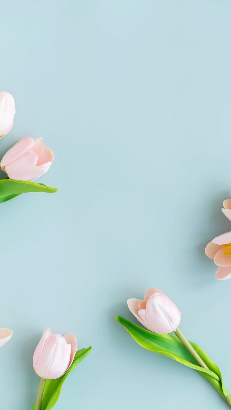 Tulips iPhone Wallpaper Image