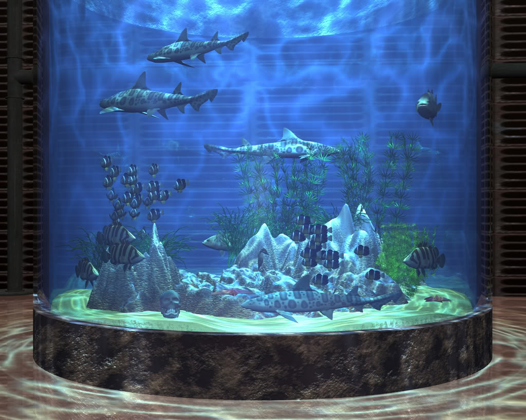 Aquarium Wallpaper Desktop Background