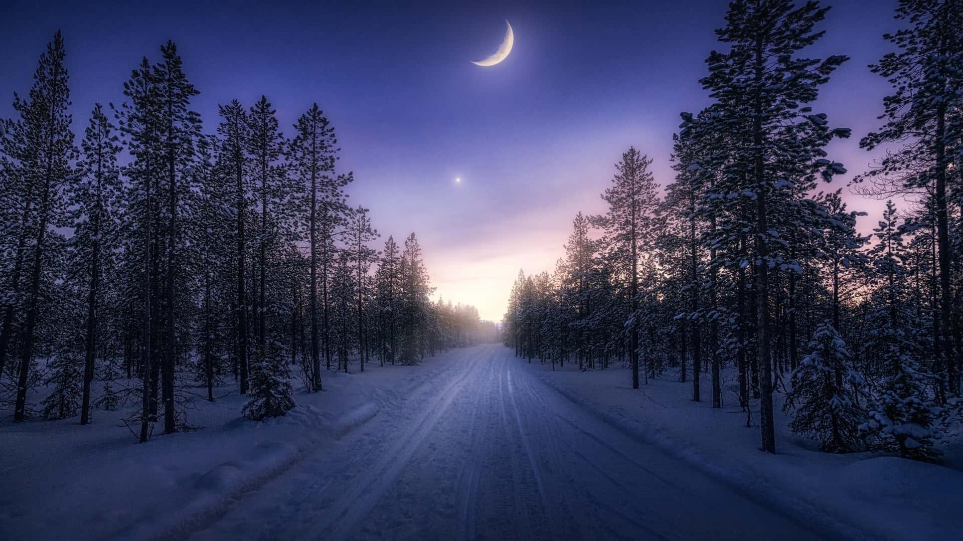 A Road With Trees And Moon In The Sky Wallpaper