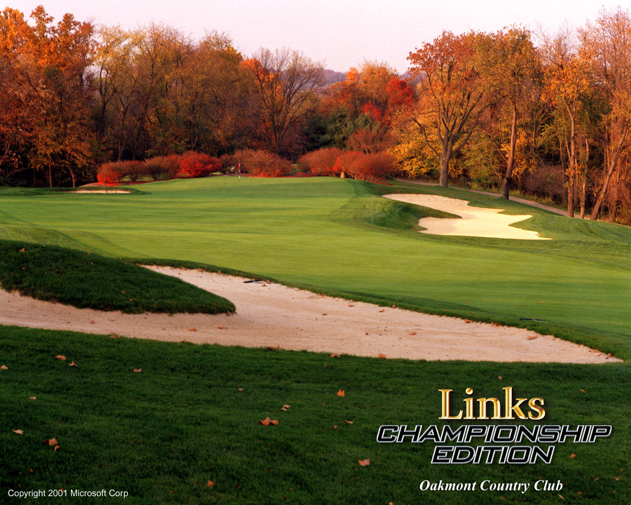 Links Championship Edition Wallpaper Country Club