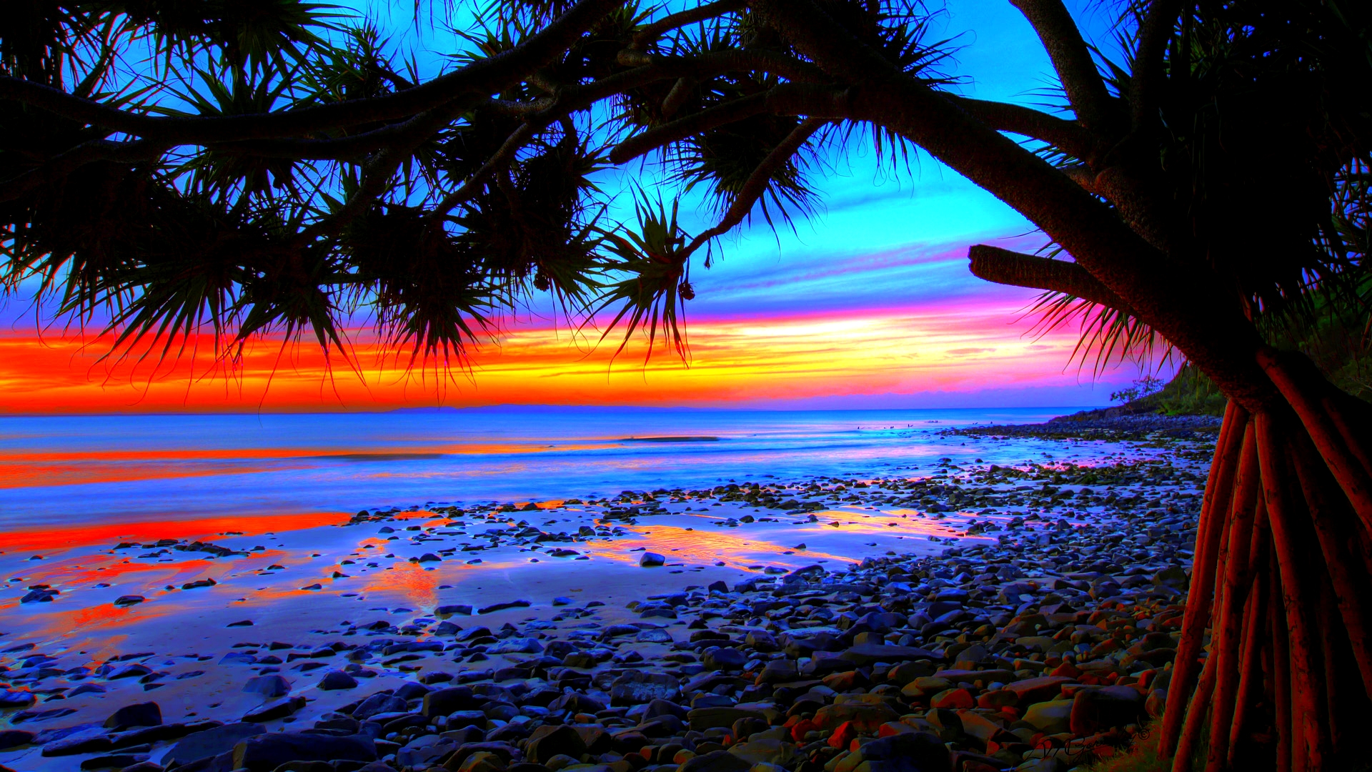 pictures palm trees sunset pictures palm trees sunset hd wallpapers