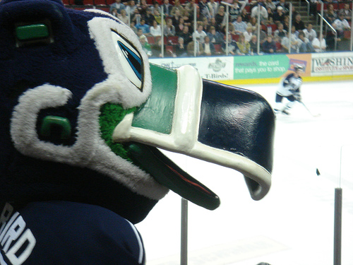 Seattle Thunderbirds Mascot Image Search Results