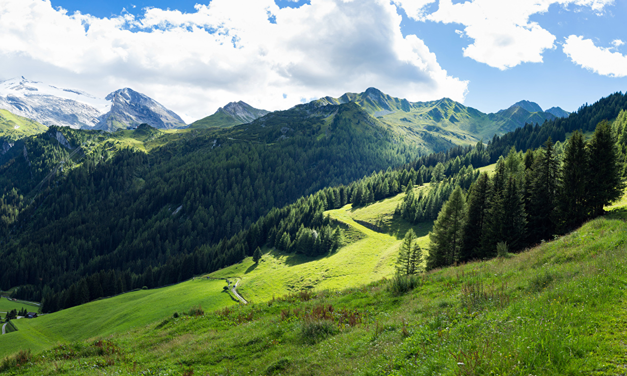 Wallpaper Alps Austria Tyrol Nature Mountains Meadow Forest Clouds