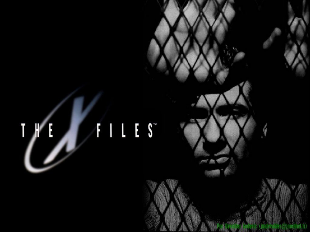 The X Files Wallpaper