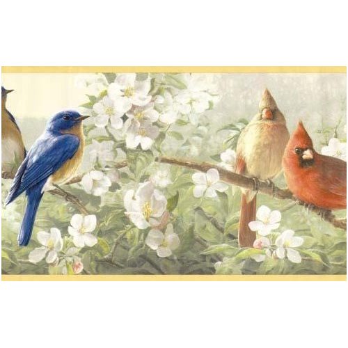 46 Wallpaper Borders With Cardinal Birds On Wallpapersafari