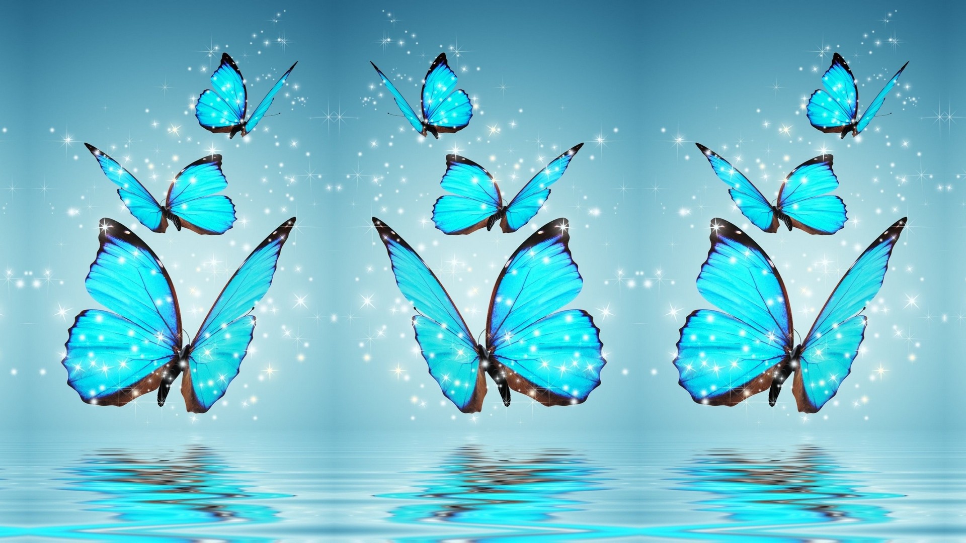 Blue Butterfly Desktop Background HD Cute Wallpaper
