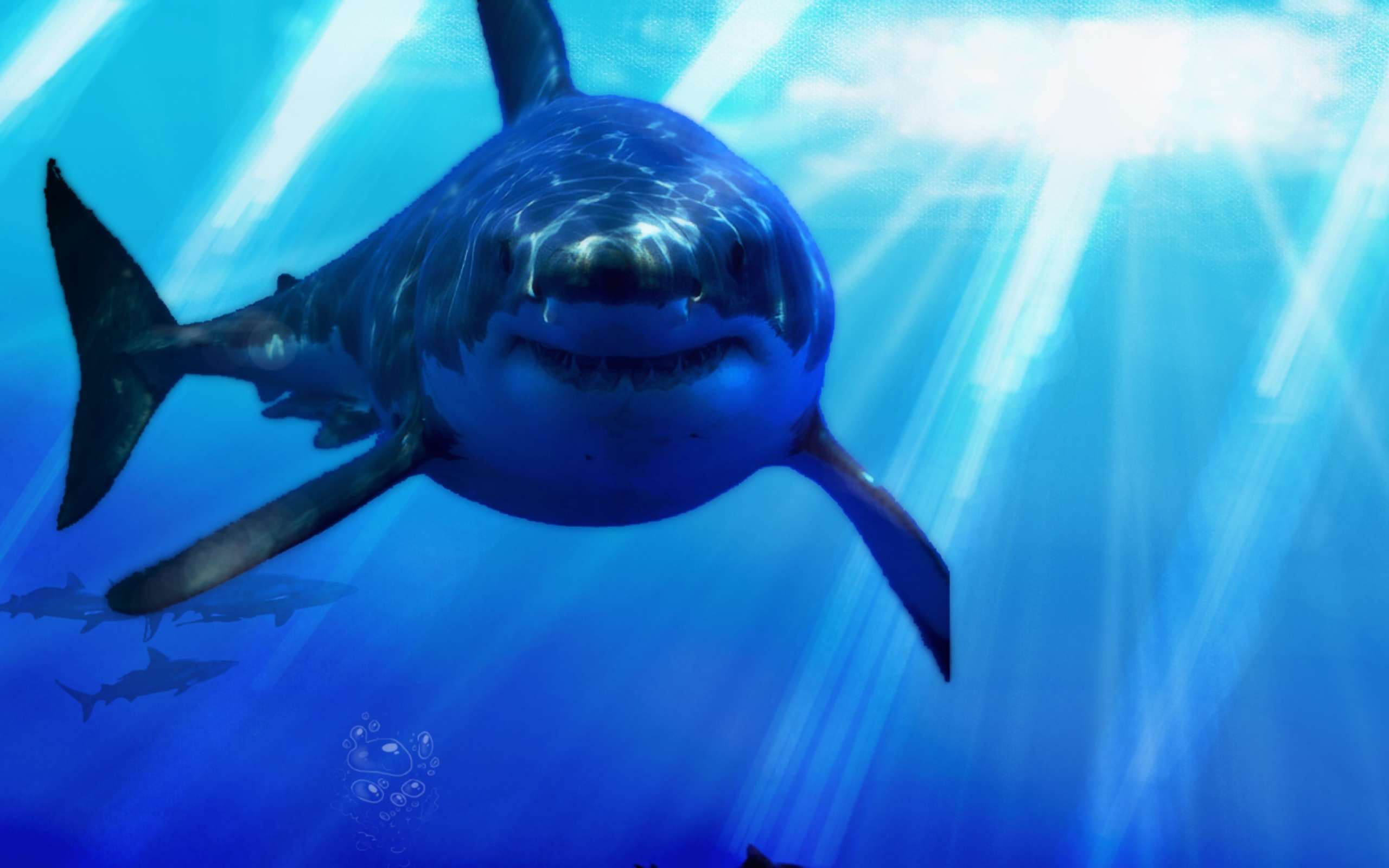 Great White Shark Animal Underwater Id Buzzerg