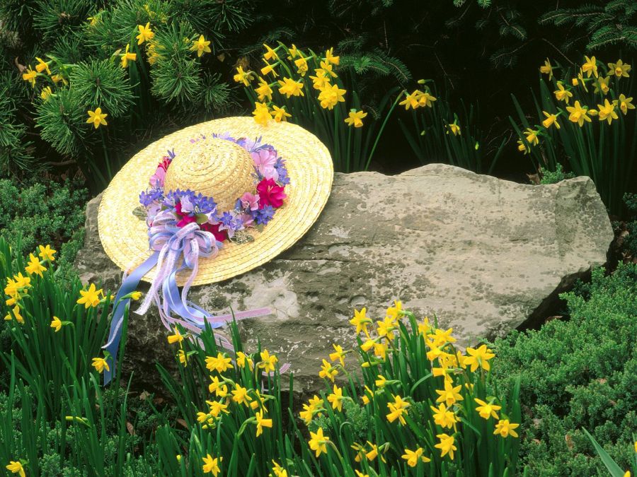 Spring Scenes Wallpaper Scene