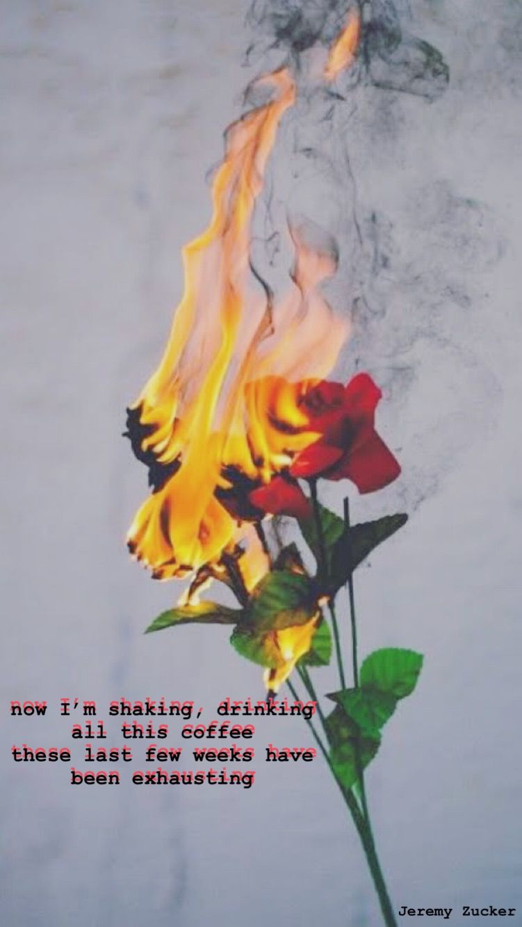 Jeremy Zucker Ethru iPhone Wallpaper Fire Flower