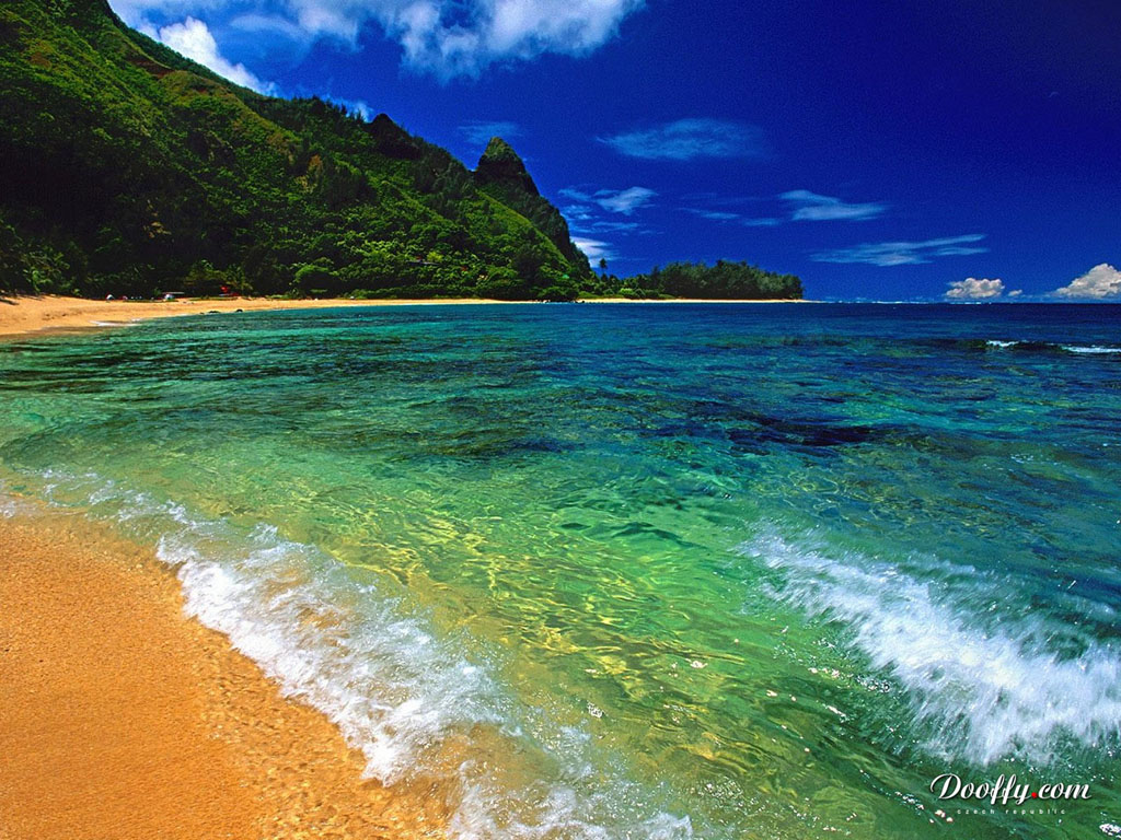 Wallpaper Nature And Sea P Roda A Mo E Hawaii Beach