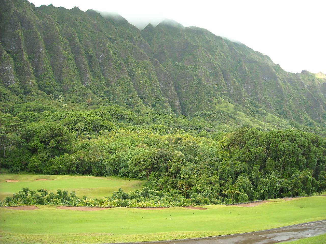 Find And Get It Now Wallpaper Golf Hawaii
