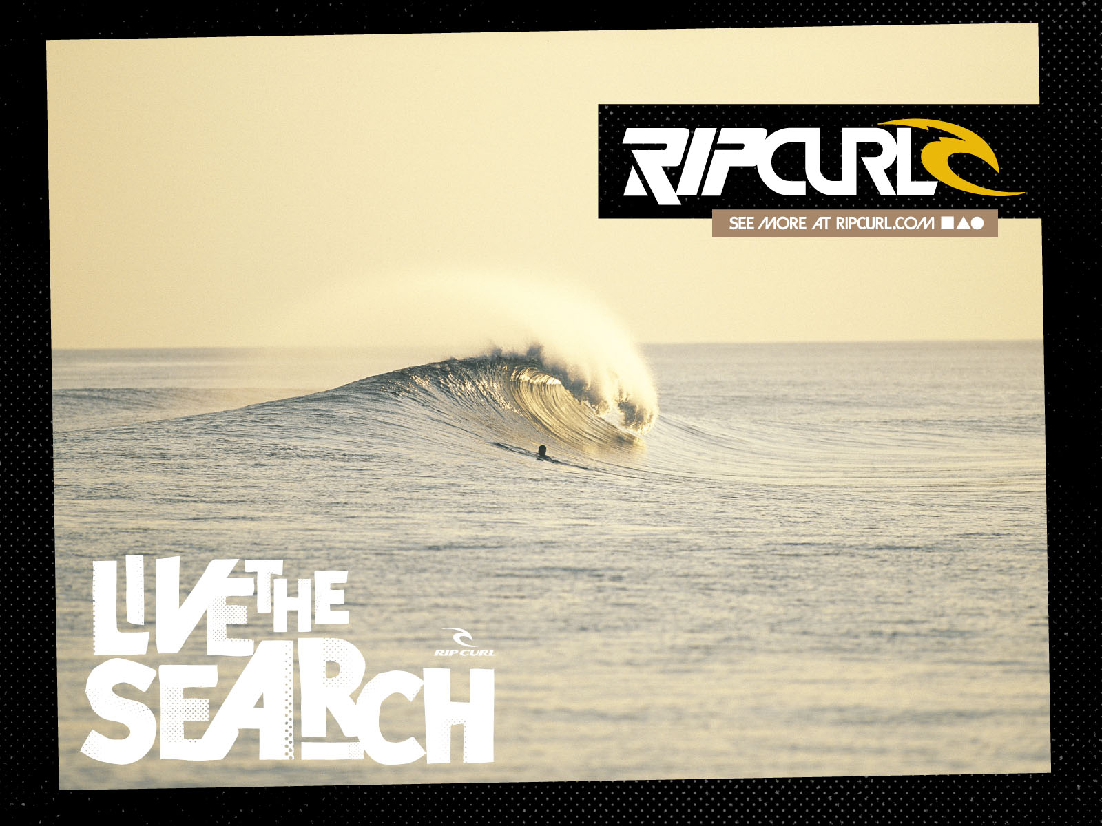 Best Wallpaper HD Rip Curl Logo Background Image For