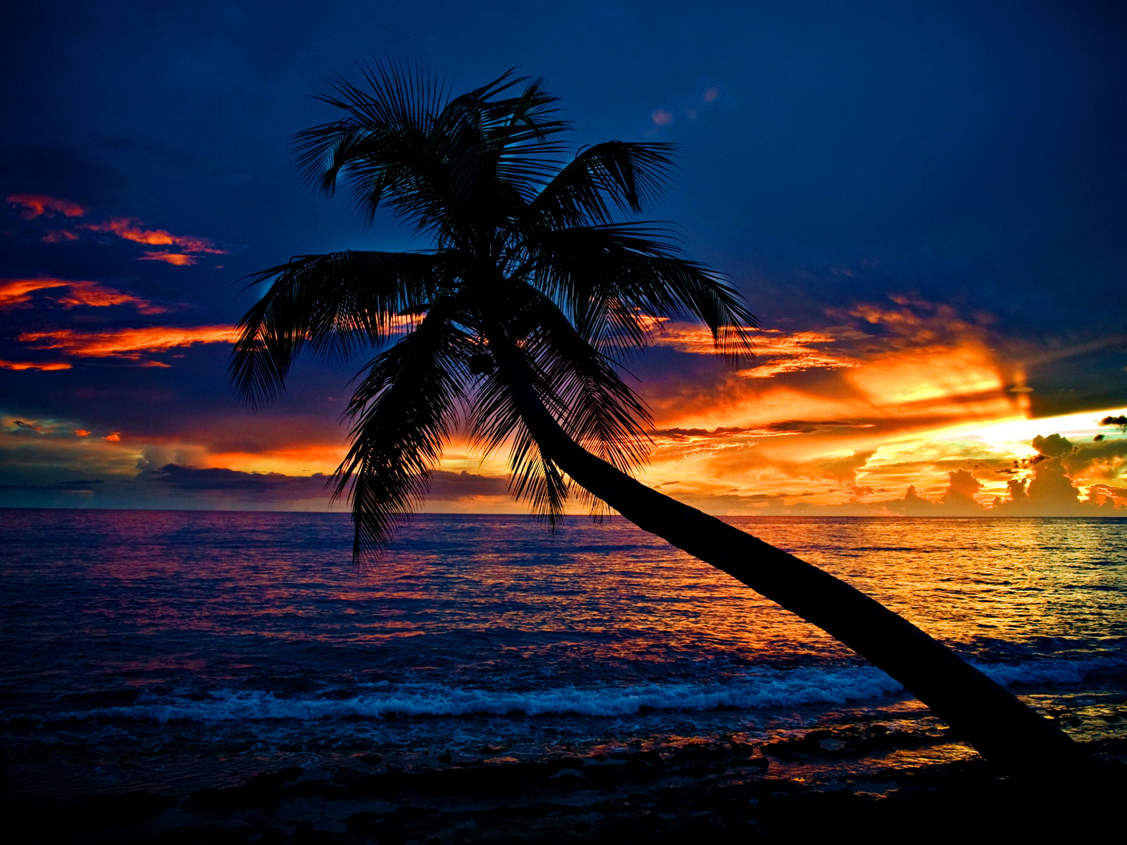 Tropical Sunset Wallpaper And Background Image Id