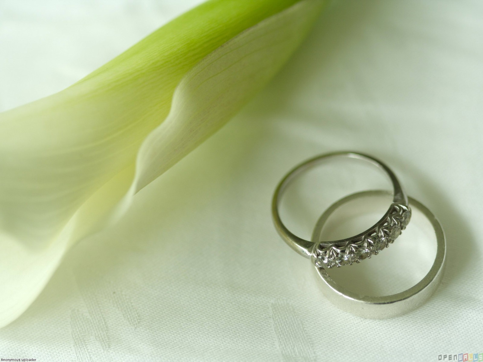 Wedding Ring Wallpaper
