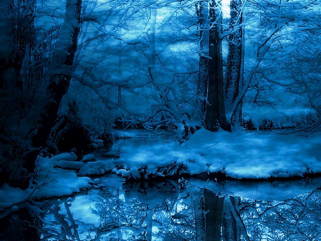 Snow Forest Night HD Wallpaper Pictures