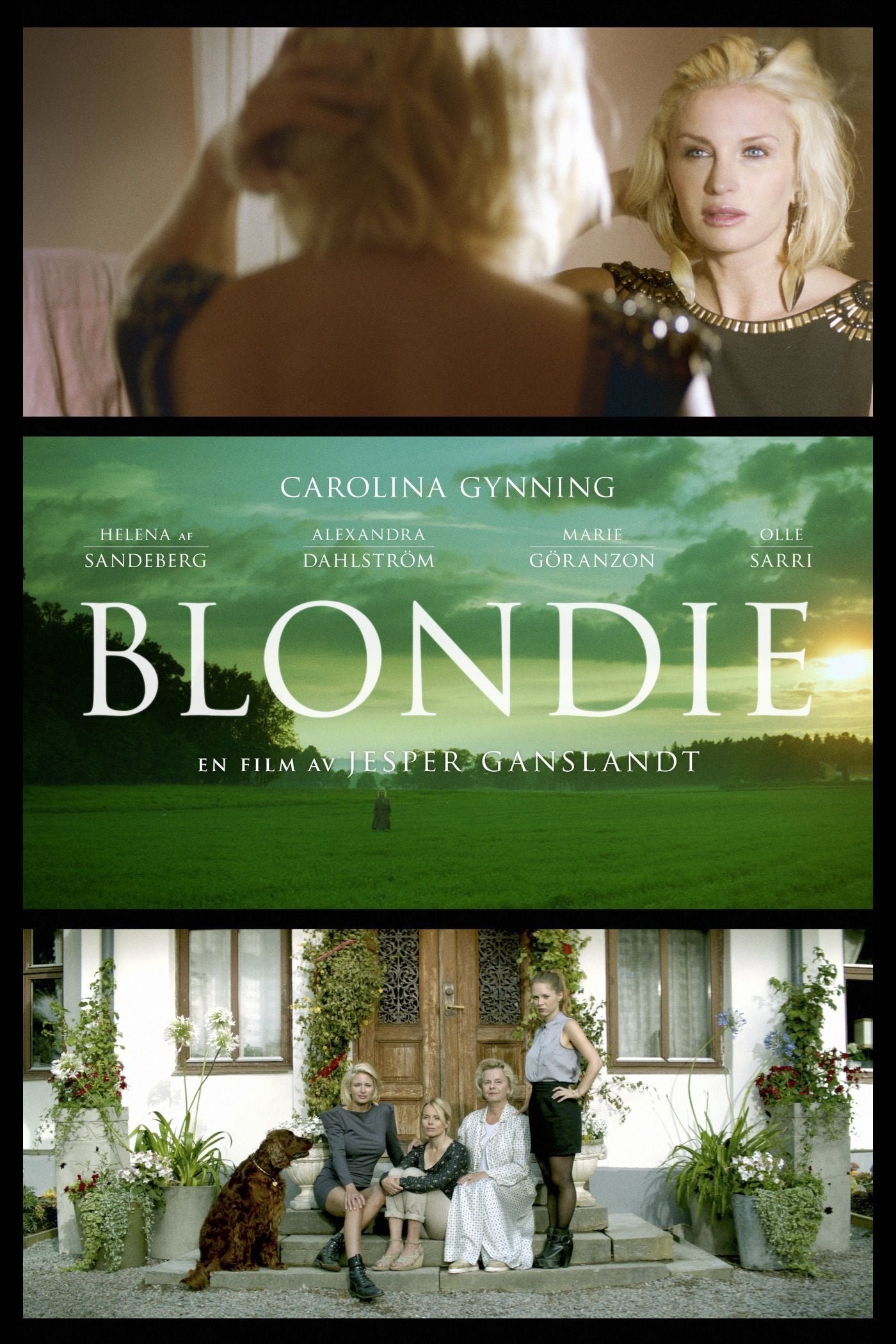 Blondie Wallpaper