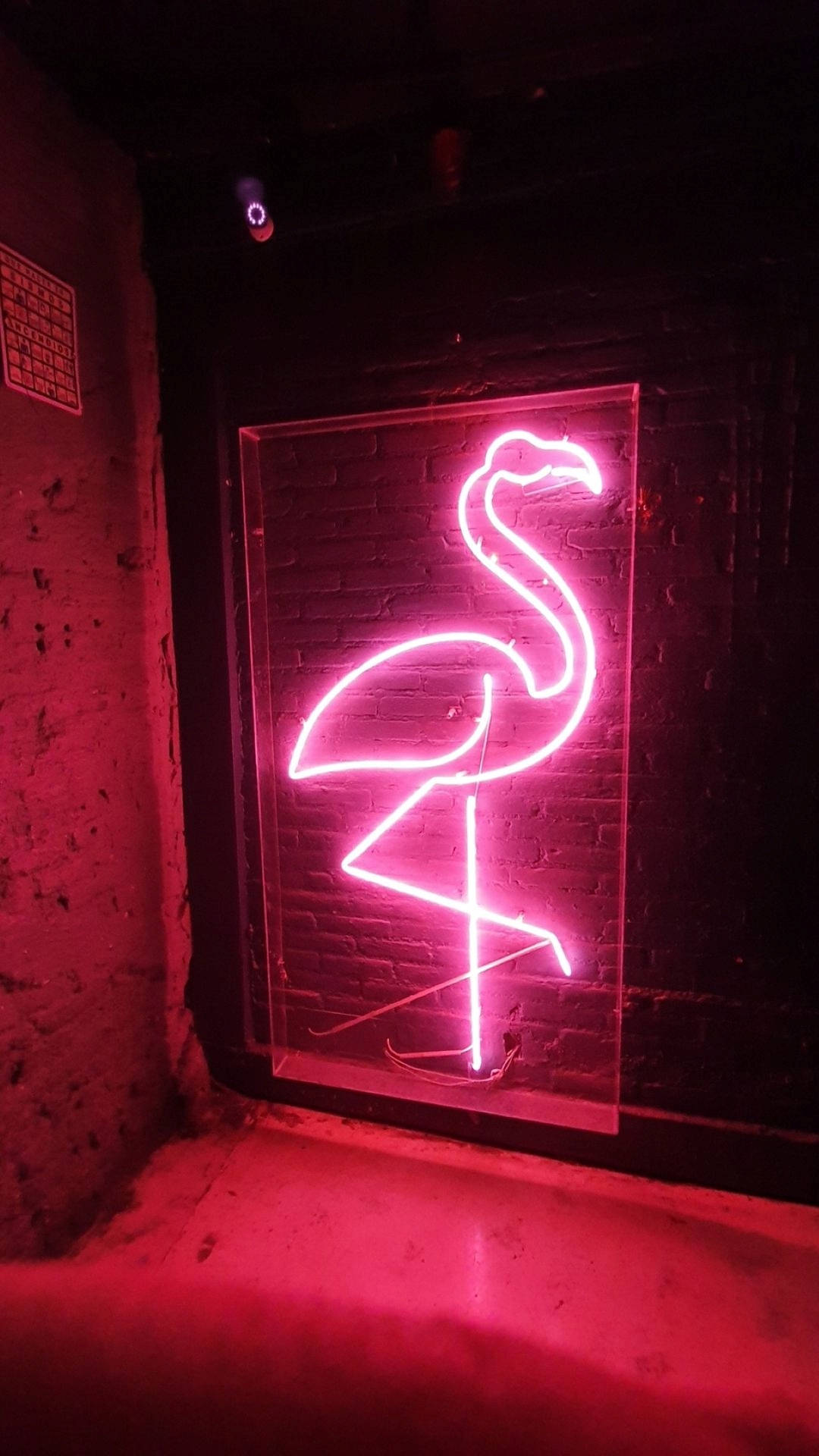 Neon Pink Aesthetic Wallpaper