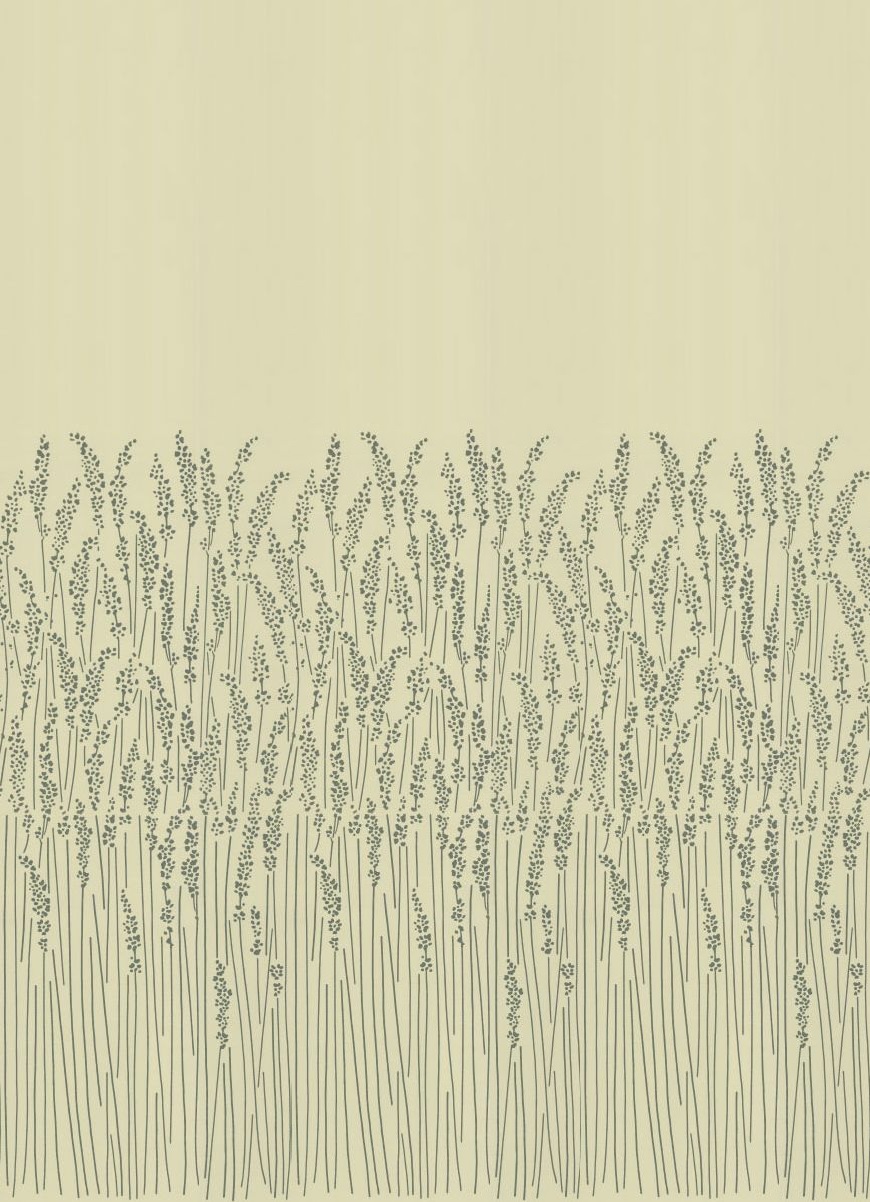 Feather Grass By Farrow Ball Cream Wallpaper Direct