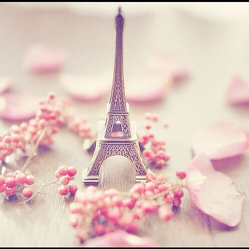 Background Beautiful Eiffel Tower Escape Flowers Girl Girly