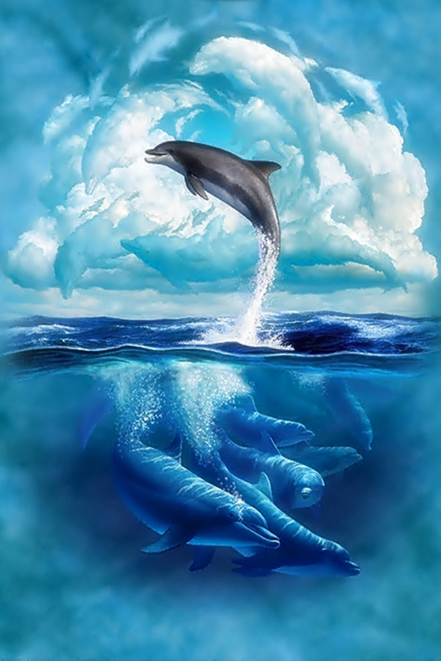 Dolphin Iphone Wallpaper Wallpapersafari