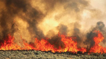 Uk Fire Severity Index Wallpaper