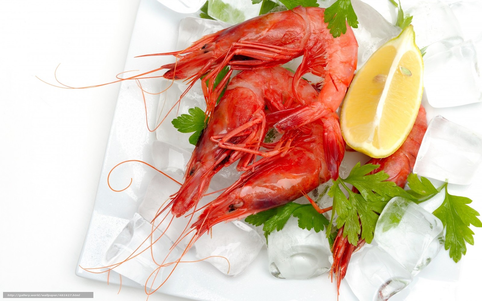 Wallpaper Shrimp Seafood Lemon Cilantro Desktop