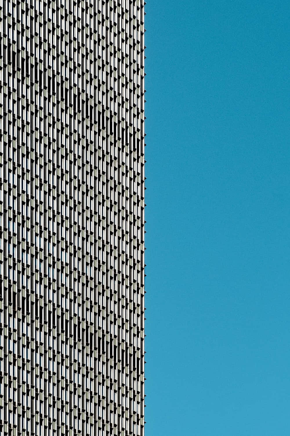 Half Background Wallpaper